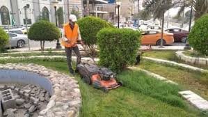 شركة قص الاشجار بالشارقة للايجار01011506101 يتلل