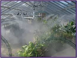 تركيب شبكات رذاذ و ضباب دبي للايجار01011506101 ومكوم